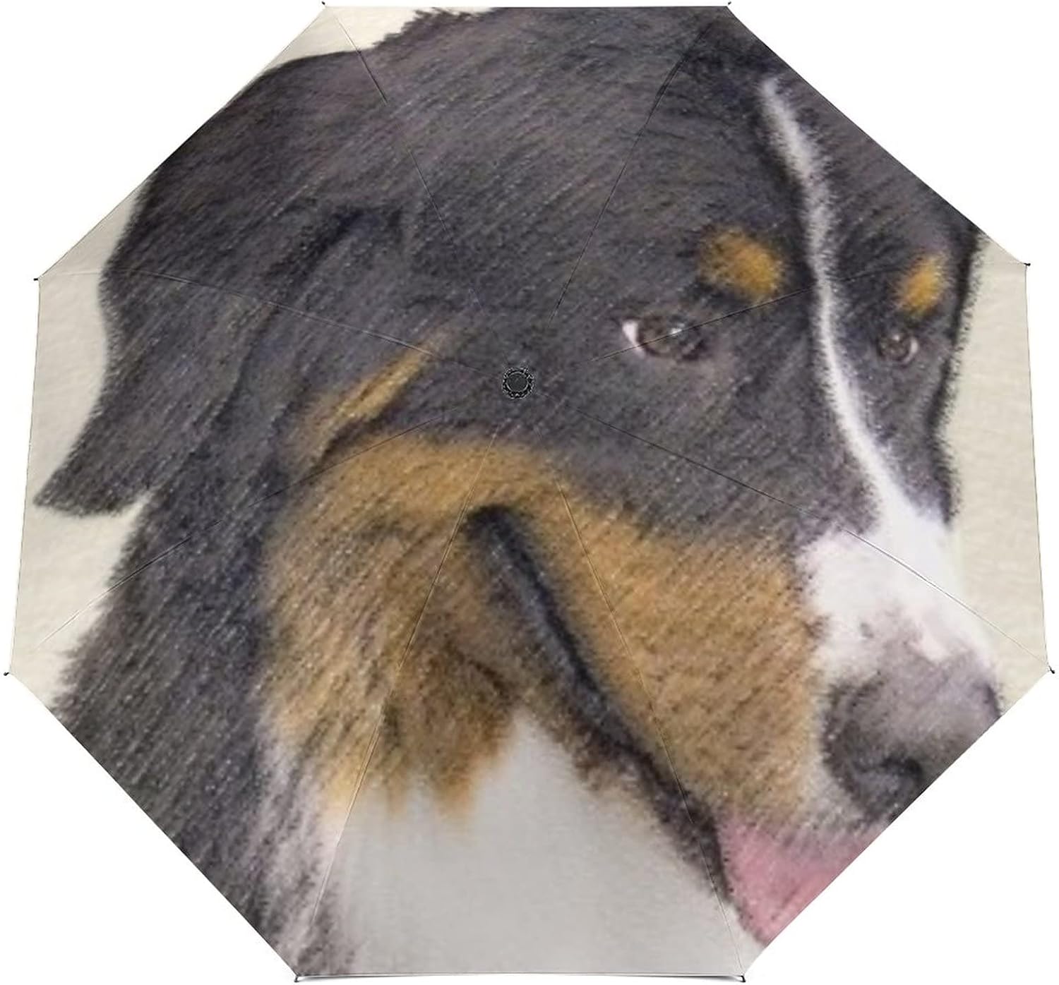 歯科用 2連ワッテ缶 綿球入れの2セット。 ワンタッチコットンBOX [YDM